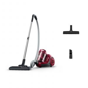 Aspirador Rowenta RO2933EA